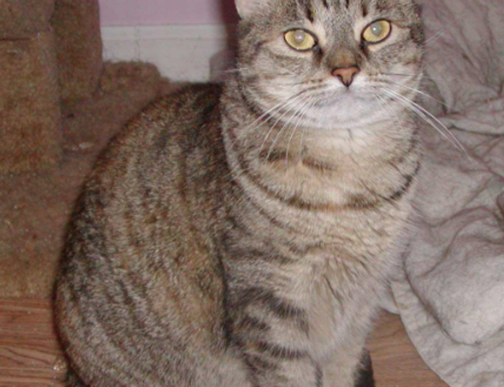 how to enroll tportvent