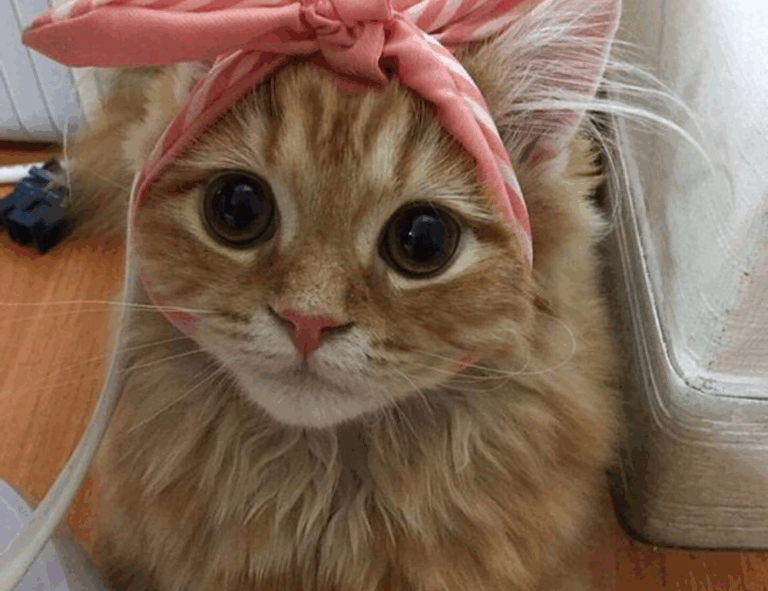 how to manage online reviews bfncreviews