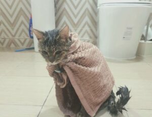 how to mine coins from gaming in 2023 feedgamebuzz