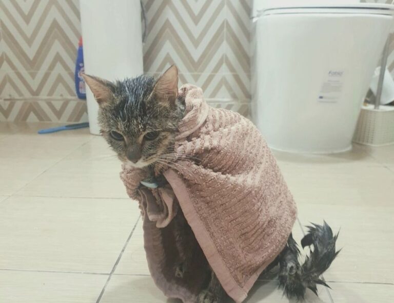 how to mine coins from gaming in 2023 feedgamebuzz