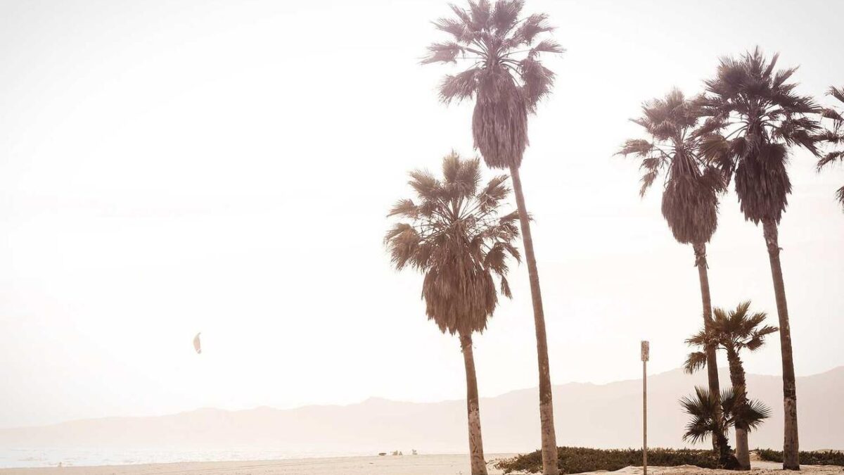 how to play crypto games in 2023 feedgamebuzz // togplayering.com