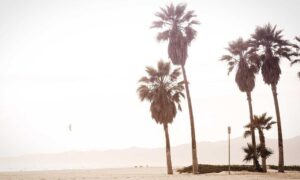 how to play crypto games in 2023 feedgamebuzz