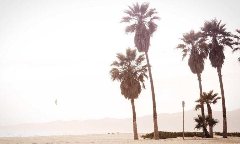 how to play crypto games in 2023 feedgamebuzz