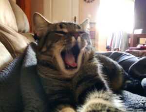 how to update a gaming pc jogametech