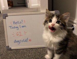 how to update etsjavaapp by etruesports