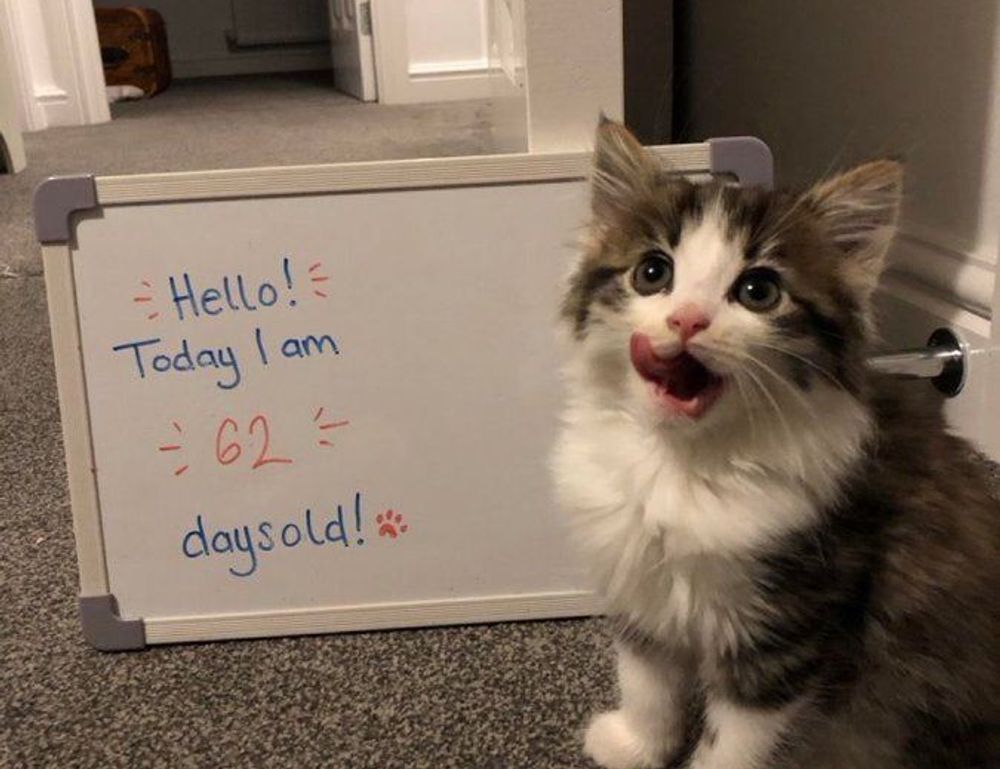 how to update etsjavaapp by etruesports