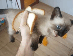 how to update pblemulator