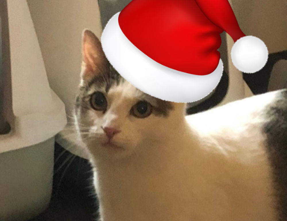 hstatsarcade mobile from hearthstats