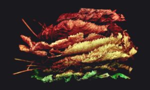 installation guide gmrrmulator