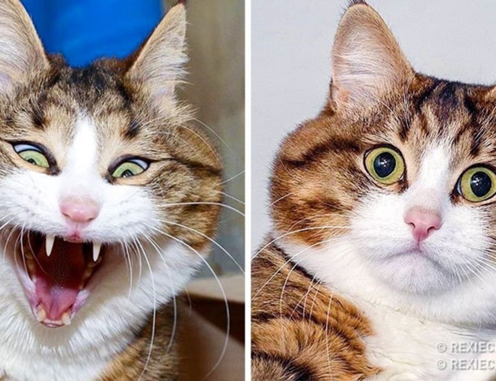 jogametech latest gaming updates by javaobjects