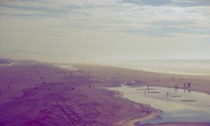 latest gamiong event tportvent