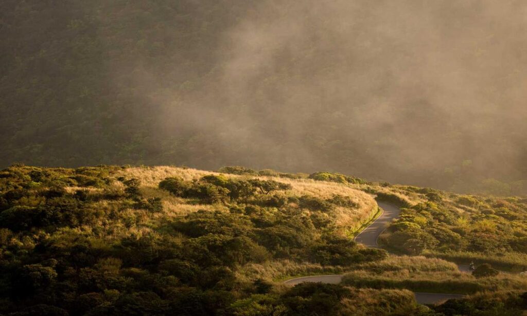 latest updates scookiegear