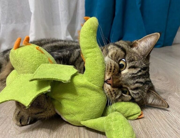 mobile updates undergarcade