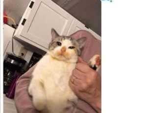 multiplayer guide undergarcade