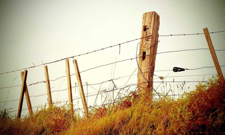 multiplayer tips togamesticky