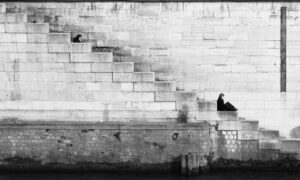 multiplayer tips togamesticky