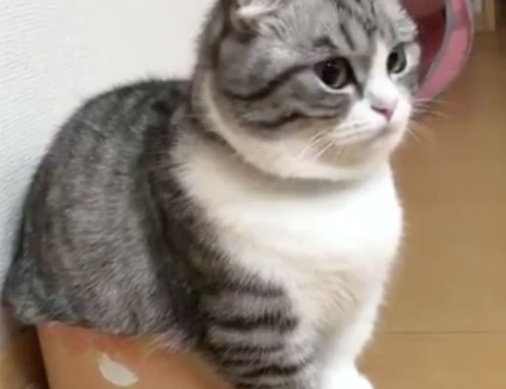 multiplayer tips togamesticky