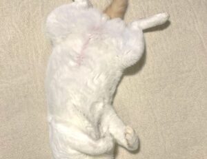 multiplayer tips togamesticky