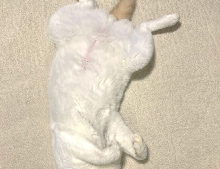 multiplayer tips togamesticky