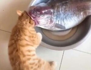 new games jogametech