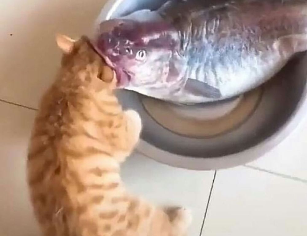 new games jogametech