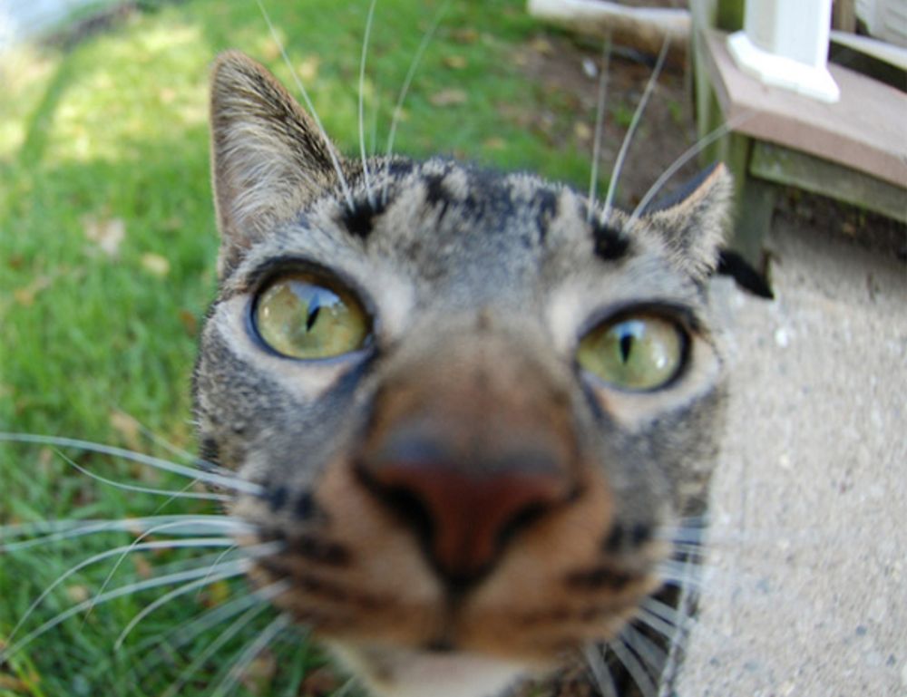 new games updates thehakegeeks