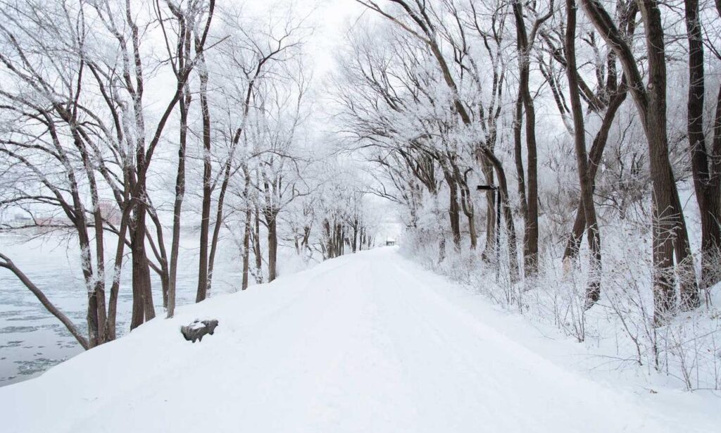 new gamestick togamesticky