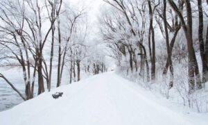 new gamestick togamesticky