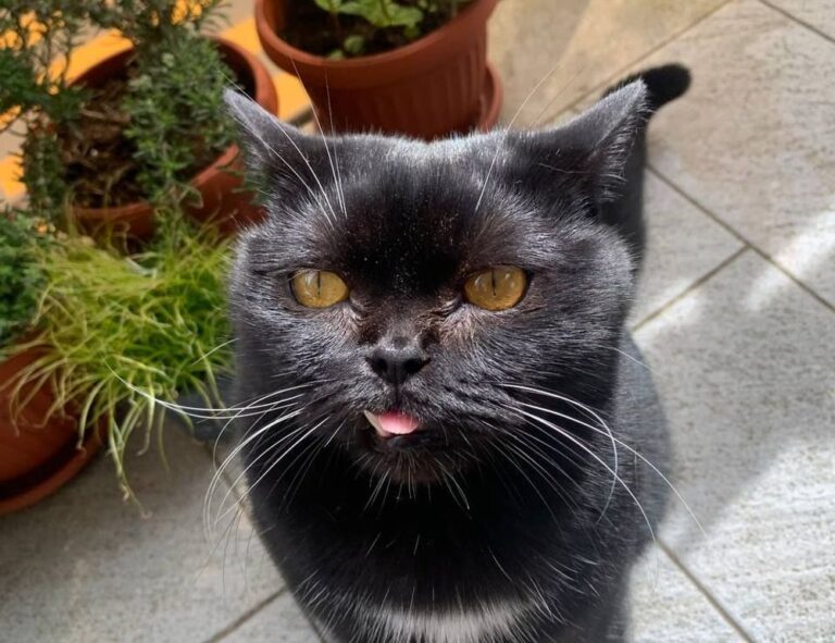 new gaming tech befitgametek