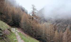 new version update etsjavaapp