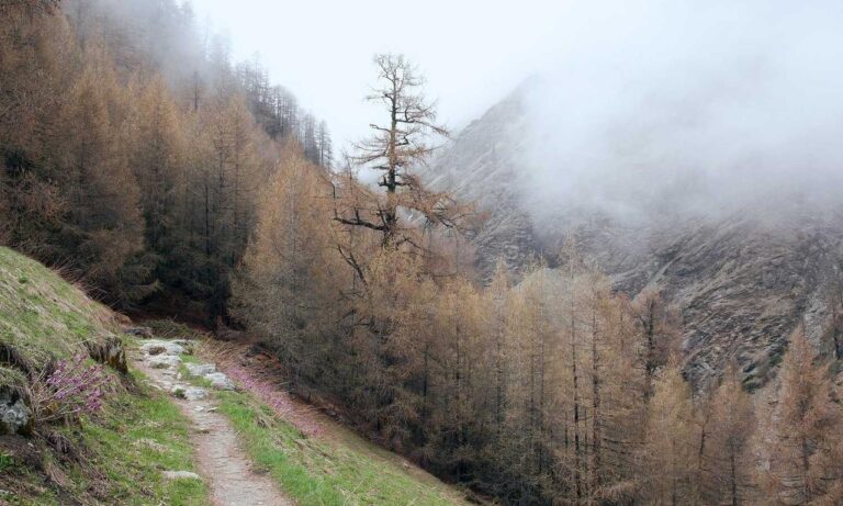 new version update etsjavaapp