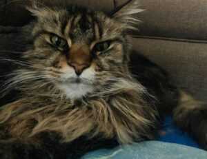 new video games jogametech