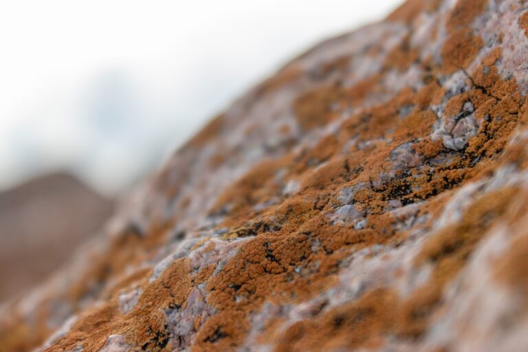 online game event pblgamevent