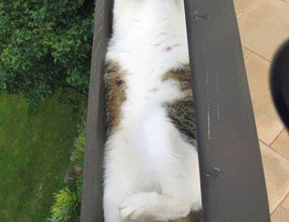 online gaming reviews bfncreviews