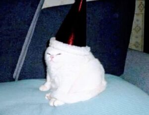 player guide tportesports