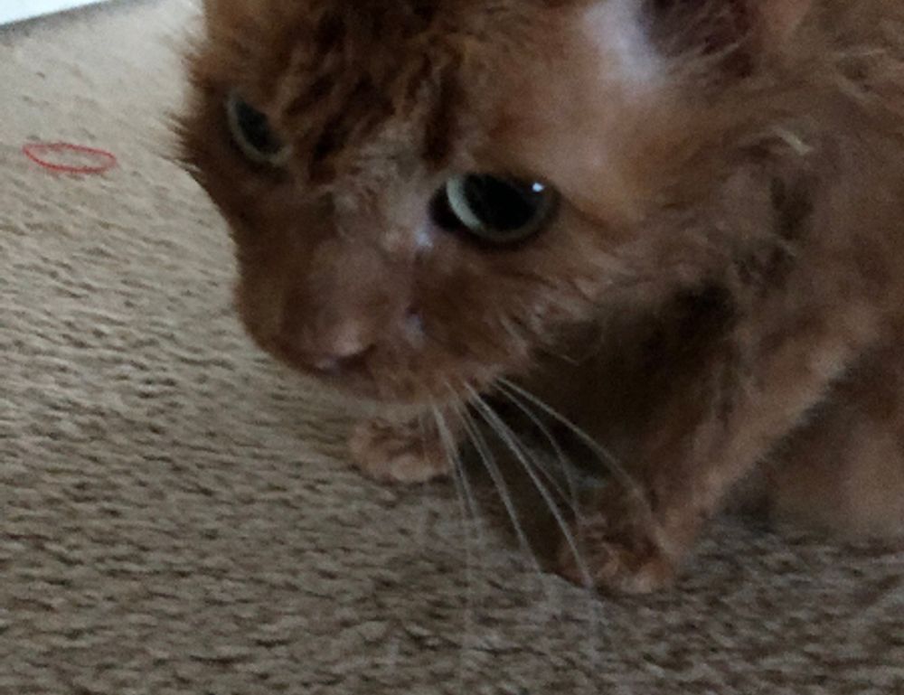 players hstatsarcade