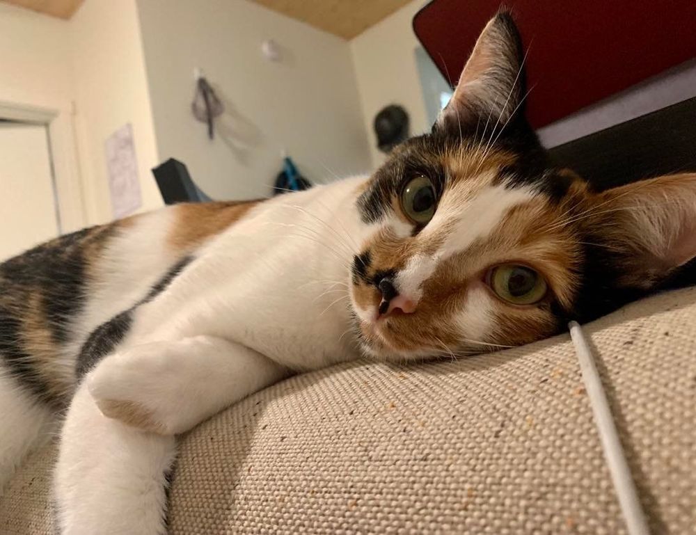 poker strategies bfncplayer