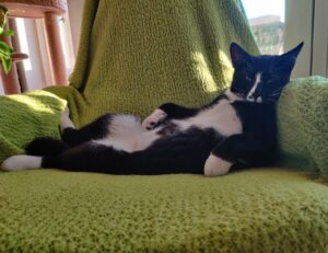 registration guide tportvent