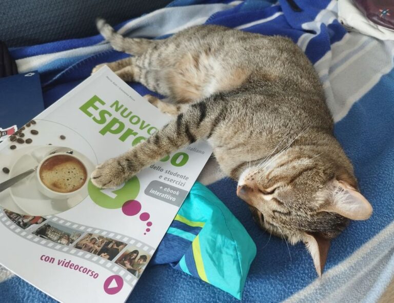 settings gmrrmulator