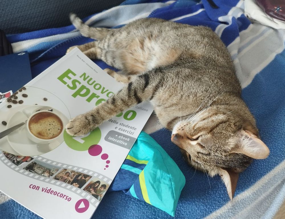 settings gmrrmulator