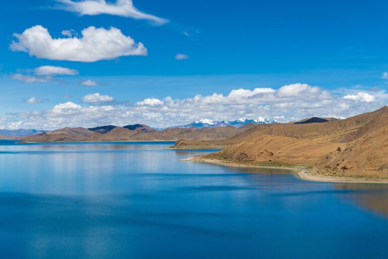 should i buy togamesticky