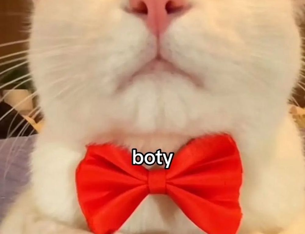 should i nuy togamesticky