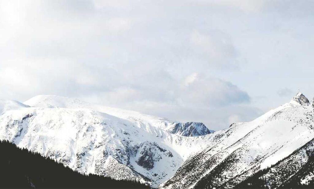 should i nuy togamesticky