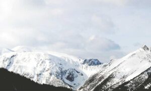 should i nuy togamesticky