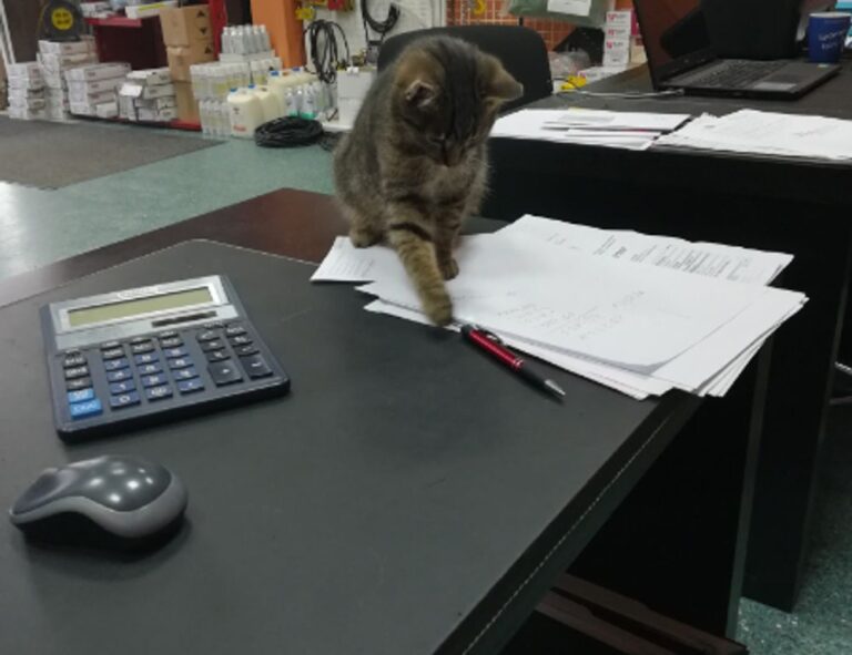 simcookie how to set up scookiepad