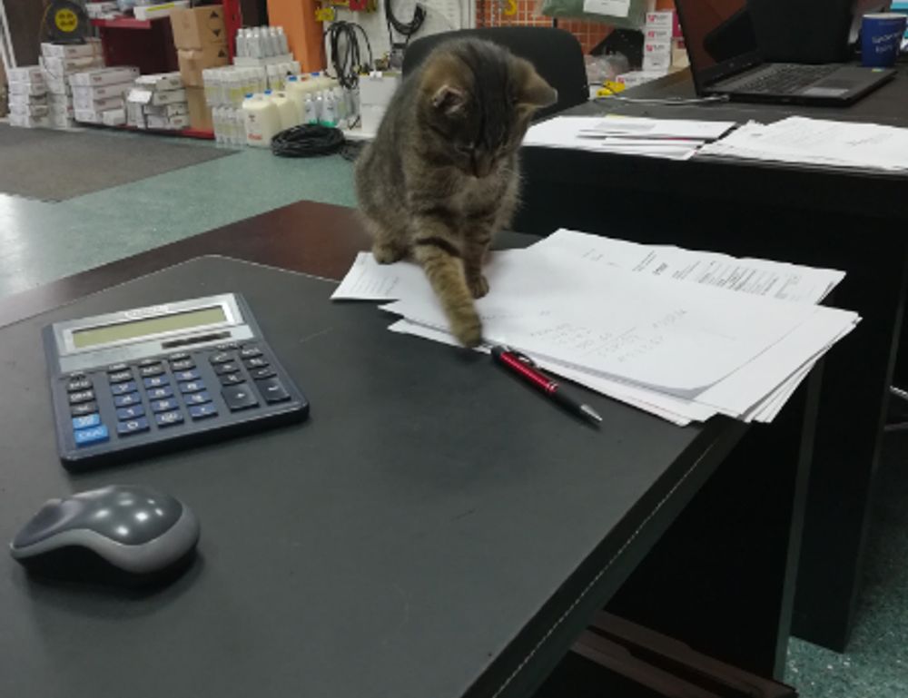 simcookie how to set up scookiepad