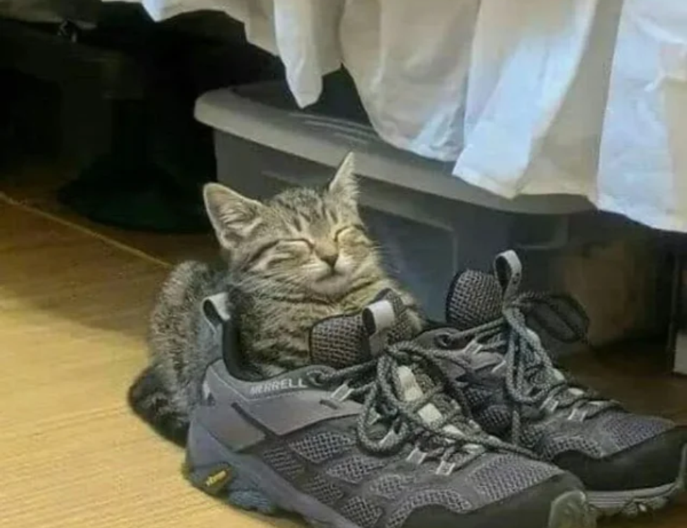 storiesads gaming tgarchirvetech unlock potential