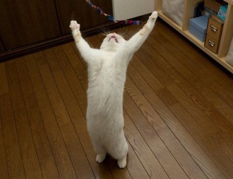 tgagamestick controller how to use