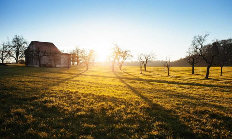 tgagamestick controller release date