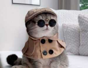 tgageeks gaming hacks